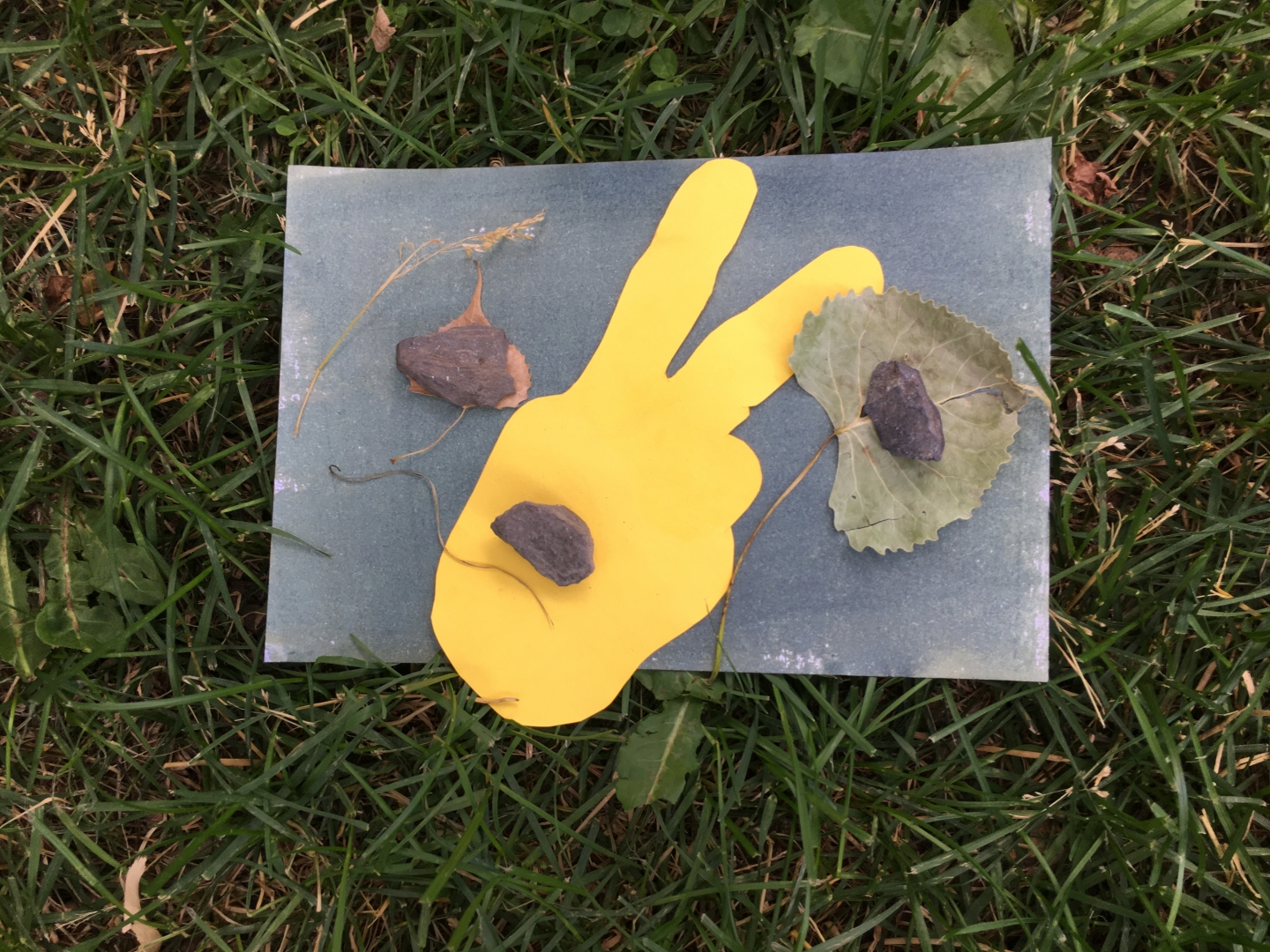 innojeunes_scabot_cyanotype_2022